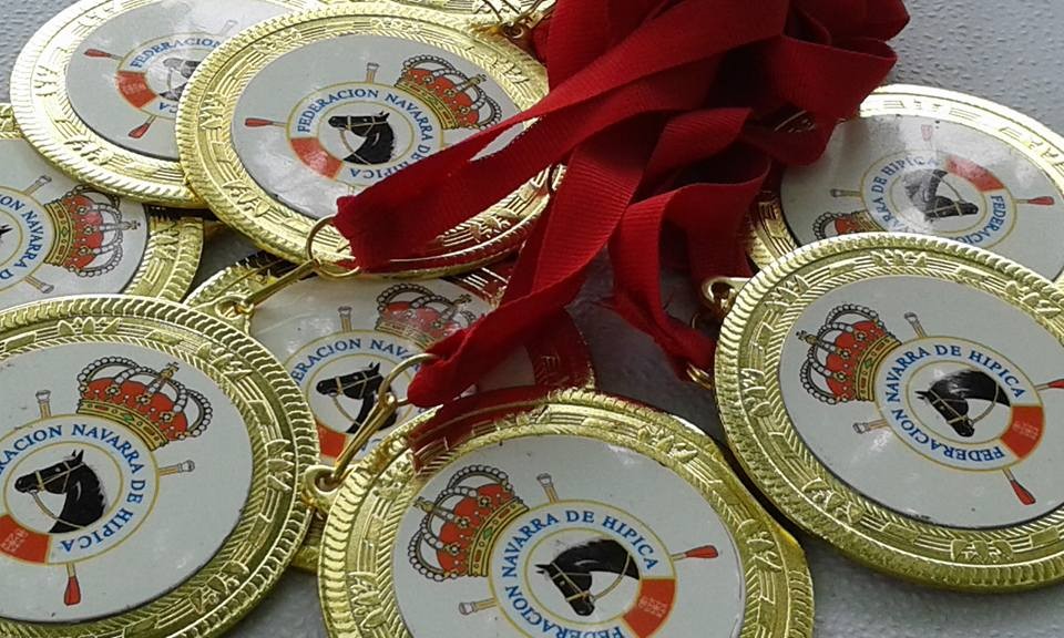 II. Campeonato Navarro Ponigames en Añezcar